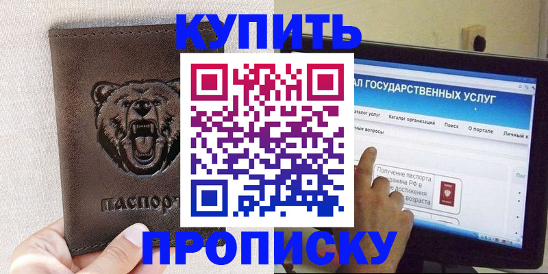 временная регистрация 2025 в Кашине